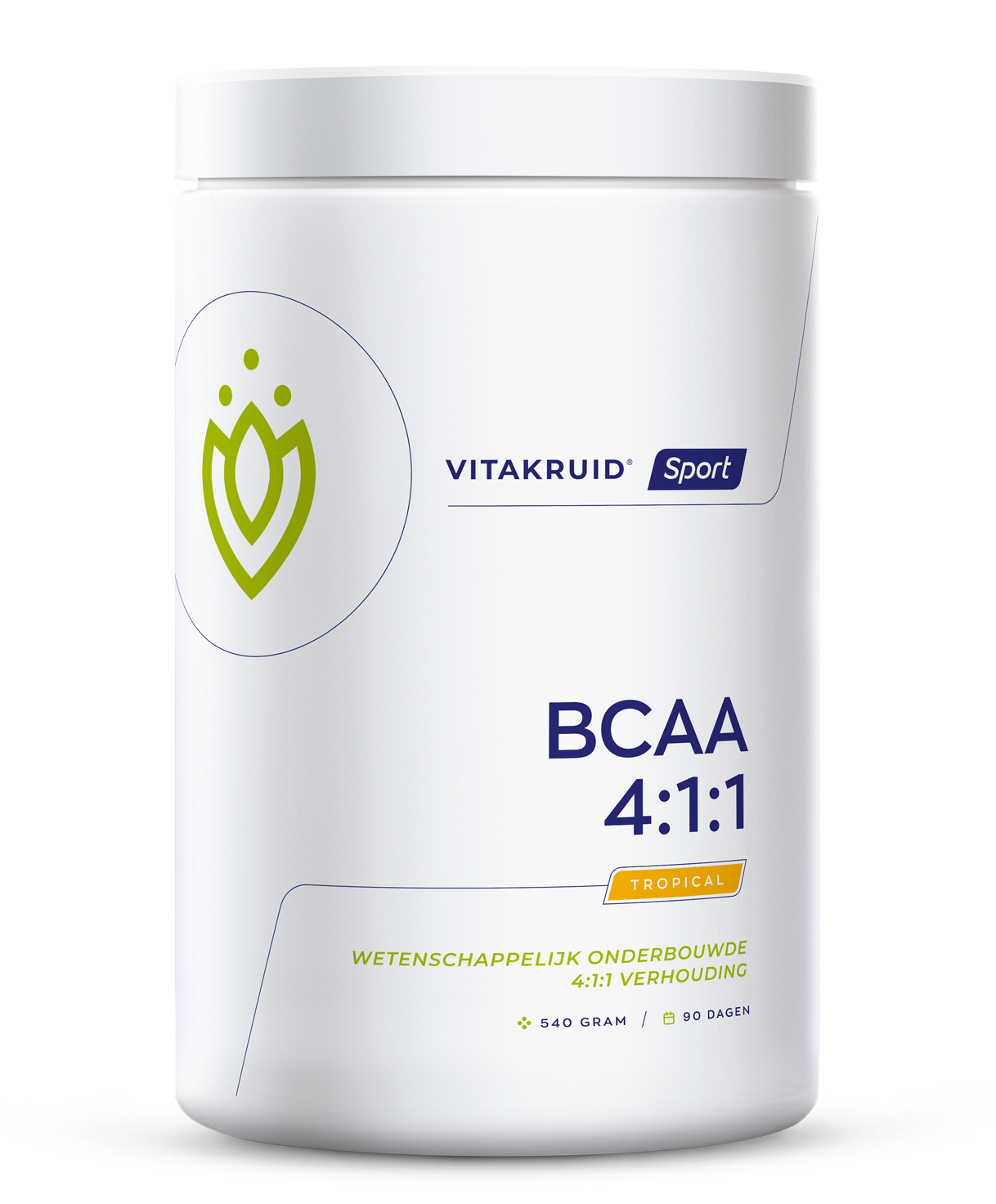 Vitakruid BCAA 4:1:1 l-leucine, l-isoleucine & l-valine 540 Gram