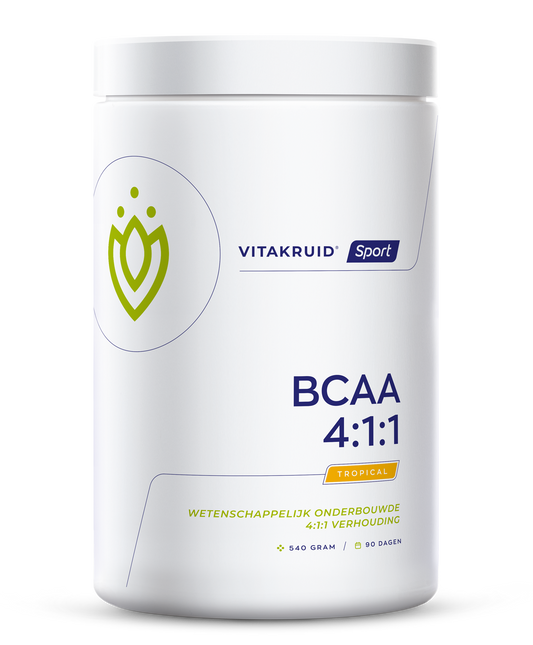 Vitakruid BCAA 4:1:1 l-leucine, l-isoleucine & l-valine 540 Gram